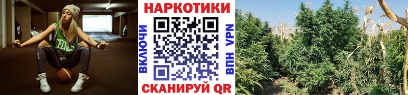 Наркошоп купить Гашиш  АМФЕТАМИН  МЕФ  МАРИХУАНА  СОЛЬ  Заводоуковск