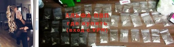прущие крисы Киренск