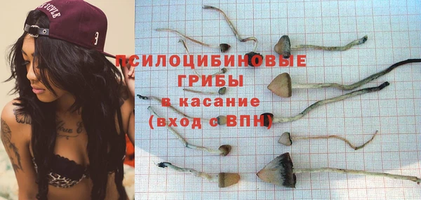прущие крисы Киренск