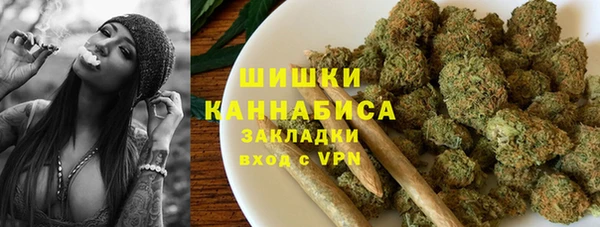 крисы Козельск