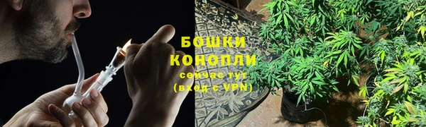 прущие крисы Киренск