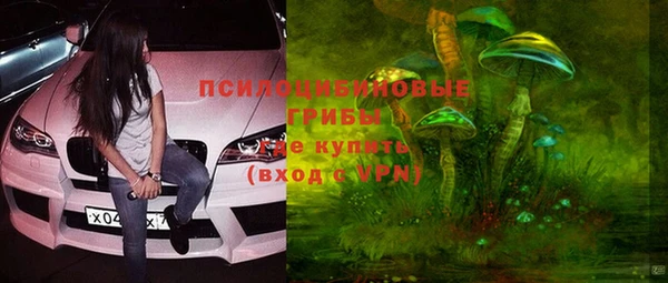мдпв Кинешма