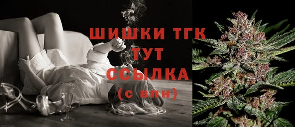 крисы Козельск