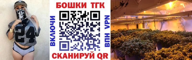 Купить где  Заводоуковск  Каннабис Ganja 